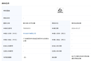 華為技術有限公司申請注冊“華為云山”圖形商標