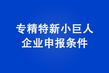 河南專精特新小巨人企業(yè)申報(bào)基本條件有哪些