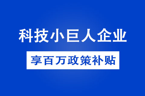 鄭州市科技小巨人企業(yè)認(rèn)定方式 鄭州市科技小巨人企業(yè)認(rèn)定方式