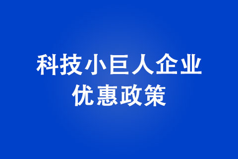 鄭州市科技小巨人企業(yè)補(bǔ)貼政策 鄭州市科技小巨人企業(yè)補(bǔ)貼政策